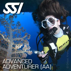Advanced Adventurer 02
