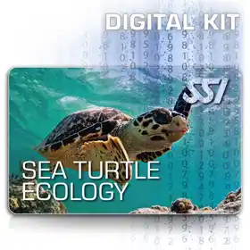 Kit digital SSI Sea Turtle Ecology Kit 01