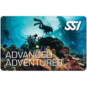 card advanced adventurer 01