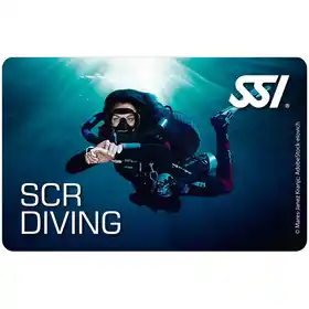 card scr diving 01