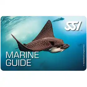 card marine guide 01