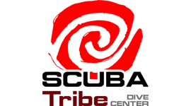 SCUBA Tribe DIVE CENTER