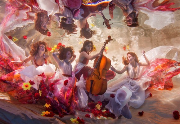 Cristiana Apostol - Photographer